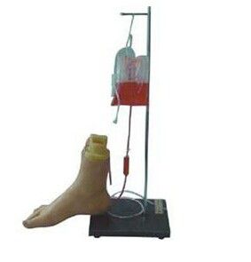 Foot intravenous injection simulation model